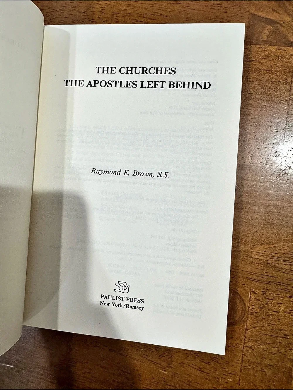 Paulist Press The Churches the Apostles Left Behind Book paperback